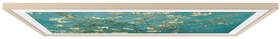 Výměnný rámeček Samsung pro Frame TV s úhlopříčkou 50" (2023), Zkosený design zlatý

 obrázek produktu 3 z 5