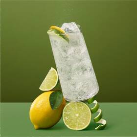 Výrobník sodové vody SodaStream ART MINT 

 obrázek produktu 6 z 7