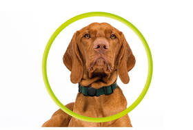 Pouzdro Mobile Origin AirTag Pet Collar černý

 obrázek produktu 6 z 10