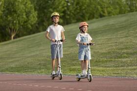 Elektrická koloběžka Ninebot by Segway Zing C10 

 obrázek produktu 16 z 25