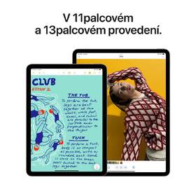 Dotykový tablet Apple Air 13" M3 Wi-Fi + Cellular 128GB - hvězdně bílý 
