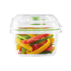 Dóza na potraviny FoodSaver FFC005X zelená/průhledná

 obrázek produktu 2 z 2