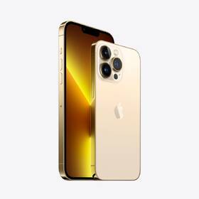 Mobilní telefon Apple 256GB Gold 

 obrázek produktu 1 z 3