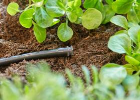 Koncovka Gardena MicroDrip System 4,6 mm (10 ks) 

 obrázek produktu 3 z 4
