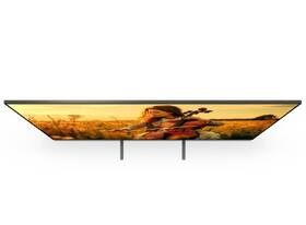 Televize Sony Bravia 5 55" 
