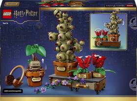 Stavebnice LEGO® Harry Potter™ 76474 Rostliny z hodiny bylinkářství v Bradavicích 

 obrázek produktu 7 z 8
