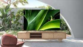 Televize TCL 75P735 

 obrázek produktu 9 z 10