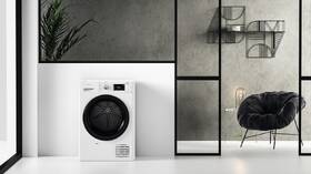 Sušička prádla Whirlpool FFT M22 9X3B EE bílá

 obrázek produktu 10 z 12