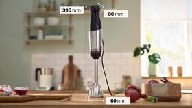 Ponorný mixér Bosch MSM6M673 černý/kovový

 obrázek produktu 11 z 20