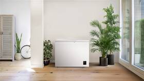 Mraznička Gorenje FH25C6W5 bílá

 obrázek produktu 4 z 4