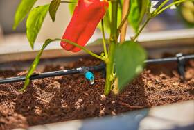 Kapač Gardena MicroDrip System 13317-20 (10 ks) 

 obrázek produktu 4 z 5