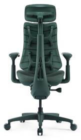 Ergonomická židle LiberNovo Omni, 48 cm zelená

 obrázek produktu 2 z 9