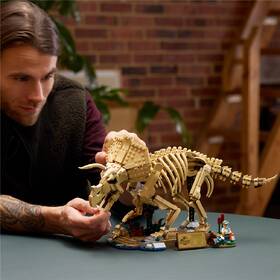Stavebnice LEGO® Jurassic World  77985 Dinosauří fosilie: Triceratops 

 obrázek produktu 5 z 9