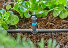 T-spojka Gardena MicroDrip System 4,6 mm (5 ks) 

 obrázek produktu 3 z 5