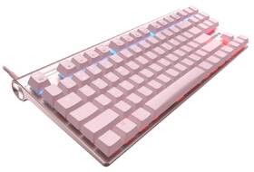 Klávesnice Cherry MX BOARD 8.0 RGB, UK růžová

 obrázek produktu 1 z 3
