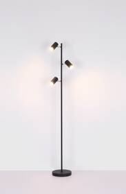 Stojací lampa GLOBO Robby, 3x GU10 bílé

 obrázek produktu 5 z 7