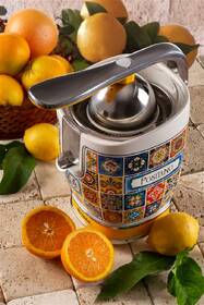 Lis na citrusy Ariete 413/PO vícebarevný

 obrázek produktu 8 z 9