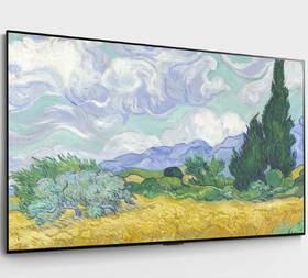 Televize LG OLED77G1 
