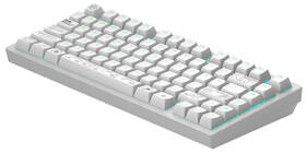 Klávesnice Dark Project ALU Terra Nova R2  US bílá

 obrázek produktu 2 z 8