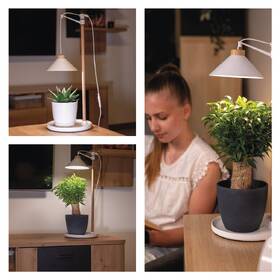 Lampa pro pěstování EMOS interiérová, 7 W, LED integrované, IP20 bílá

 obrázek produktu 8 z 9