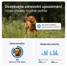 GPS lokátor Tractive DOG 6 mentolový

 obrázek produktu 4 z 10