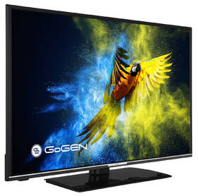 Televize GoGEN TVF 43R552 STWEB 

 obrázek produktu 3 z 3