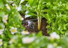 Kapač Gardena MicroDrip System 13312-20 (10 ks) 

 obrázek produktu 4 z 5