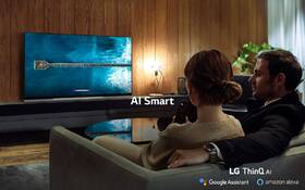 Televize LG OLED55E9 

 obrázek produktu 15 z 16