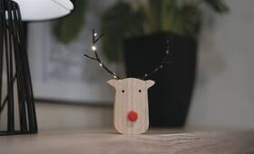 LED dekorace EMOS dřevěný sob, 16 cm, 8LED, vnitřní, teplá bílá, časovač 

 obrázek produktu 6 z 7