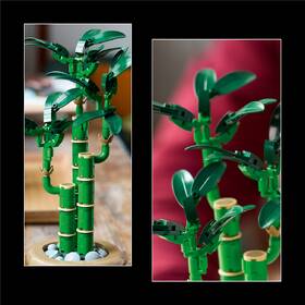 Stavebnice LEGO® Botanicals 10344 Bambus štěstí 

 obrázek produktu 5 z 9