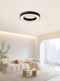 Stropní svítidlo IMMAX NEO PASTEL SLIM SMART 60 x 7cm 53W Zigbee 3.0, TUYA černé

 obrázek produktu 7 z 10
