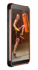 Mobilní telefon iGET GBV6600 oranžový

 obrázek produktu 3 z 5
