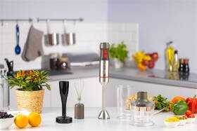Ponorný mixér Zelmer ZHB4652 stříbrný

 obrázek produktu 6 z 12