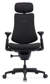 Ergonomická židle LiberNovo Omni SE, 48cm černá

 obrázek produktu 1 z 19