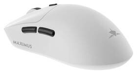 Myš White Shark MAXIMUS bílá

 obrázek produktu 4 z 5