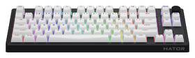 Klávesnice HATOR Skyfall 80 Wireless, US layout černá/bílá

 obrázek produktu 2 z 7