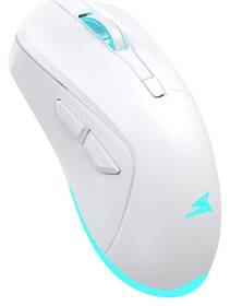Myš Baracuda TURTLE bílá

 obrázek produktu 2 z 7