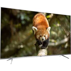 Televize TCL 55DP660 

