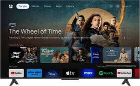 Televize TCL 55V6B 
