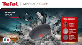 Pánev Tefal G1230553 šedá

 obrázek produktu 12 z 12