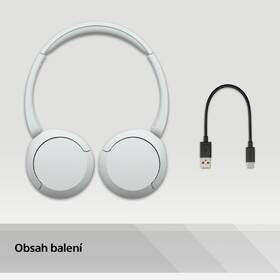 Sluchátka Sony WH-CH520 bílá

 obrázek produktu 13 z 13