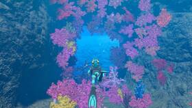 Hra Nintendo Switch Endless Ocean Luminous 

 obrázek produktu 3 z 9
