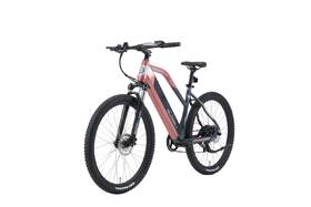 Elektrokolo GoGEN Bellis HD 630 27,5" 18" 2025 černé/bronzové

 obrázek produktu 1 z 15