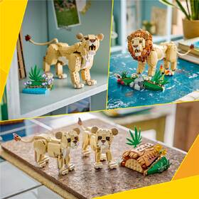 Stavebnice LEGO® Creator 3 v 1 31386 Divoká zvířata: Majestátní lev 

 obrázek produktu 7 z 8