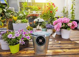Zavlažovací systém Gardena AquaBloom 

 obrázek produktu 7 z 17