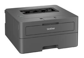 Tiskárna laserová Brother HL-L2402D černá

 obrázek produktu 5 z 6