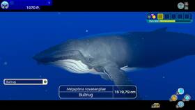 Hra Nintendo Switch Endless Ocean Luminous 

 obrázek produktu 8 z 9