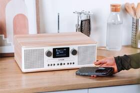 Radiopřijímač s DAB+ Pure Classic C-D6 bílý/hnědý

 obrázek produktu 5 z 6