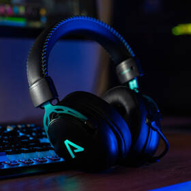 Headset LAMAX Heroes Defender1 černý

 obrázek produktu 15 z 15