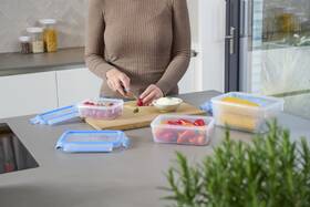 Sada potravinových dóz Tefal K3028912, 3 ks průhledná

 obrázek produktu 8 z 13